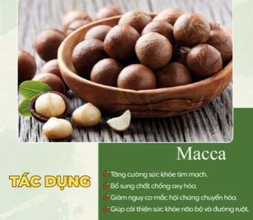 Hạt Macca có công dụng gì?